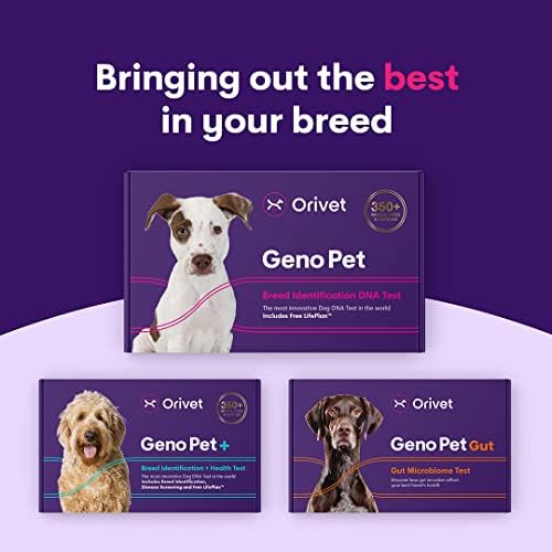 ערכת בדיקת ד. נ. א של כלב אוריבט גנופט | ערכת בדיקת גזע כלבים, בדיקות גנטיות, סיכונים בריאותיים תורשתיים ותוכנית